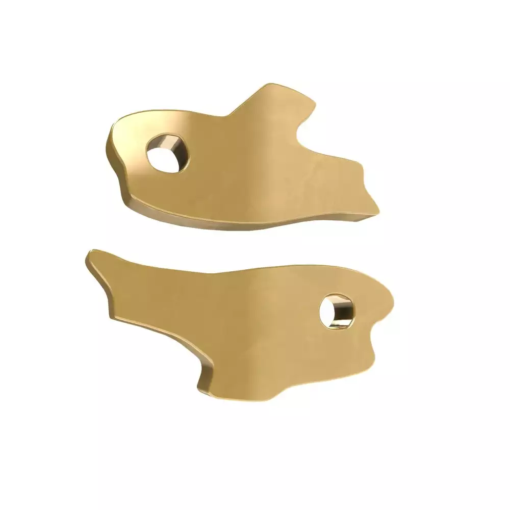 Znamení Ryby Souhvězdí