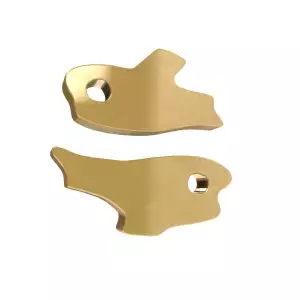 Znamení Ryby Souhvězdí